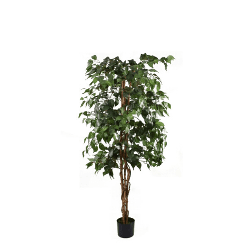Faux Ficus Tree Medium