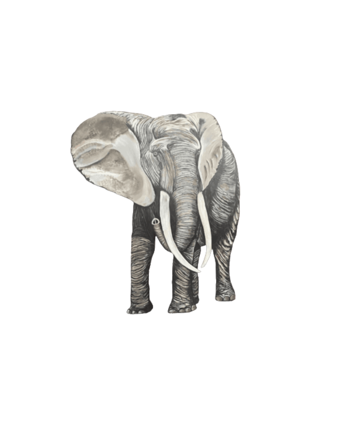 Elephant cut out