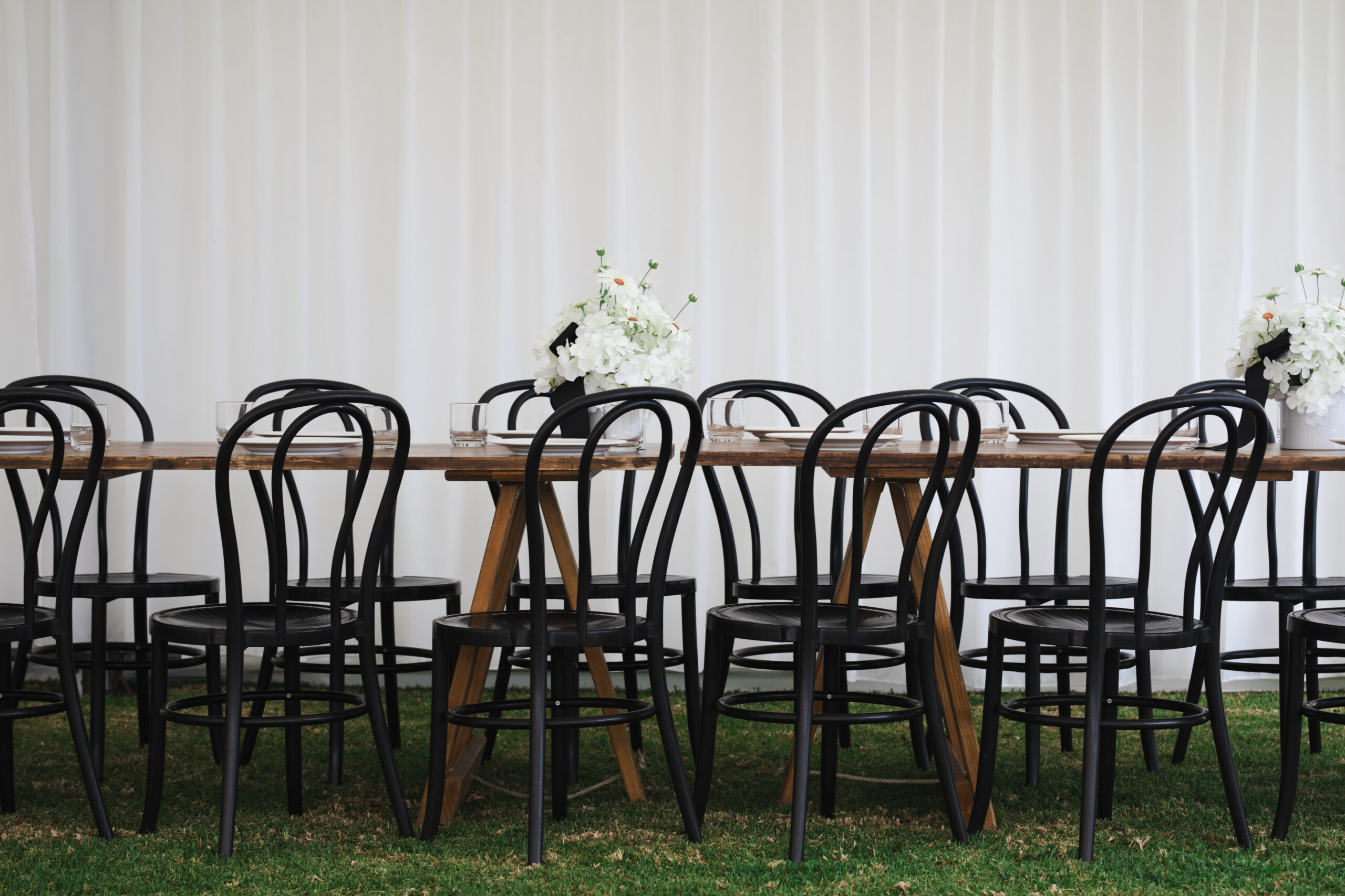 Black Bentwood Chair - Image 3