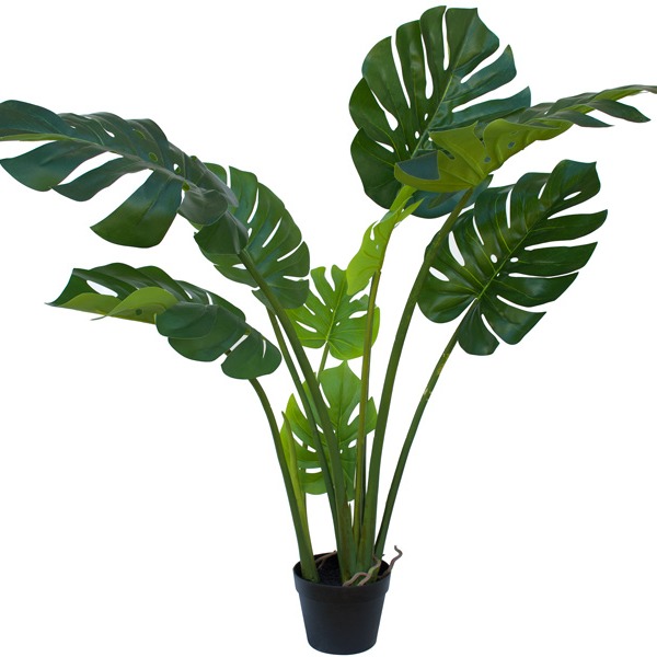 Faux Plants & Trees